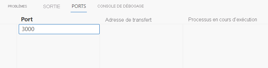 Capture d’écran montrant la spécification du port 3000 dans la vue Ports.