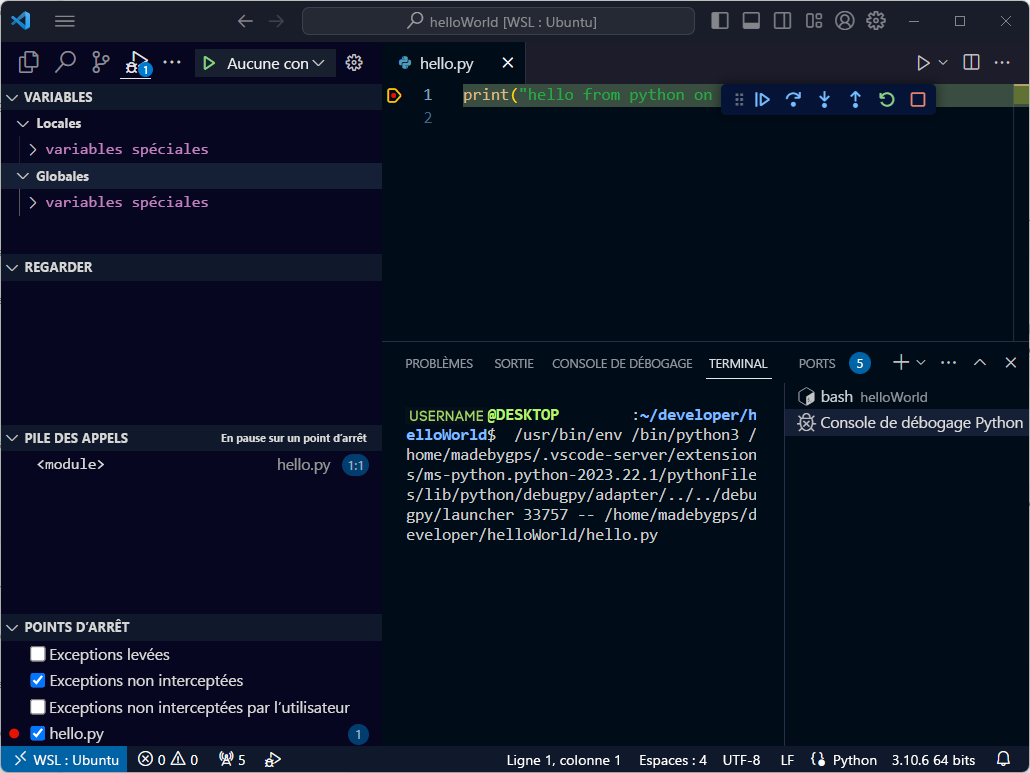 Capture d’écran du terminal WSL de Visual Studio Code.