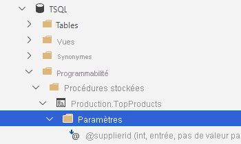 Diagramme montrant « Développer le dossier Programmation pour afficher les procédures stockées et les types de données des paramètres ».