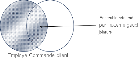 A Venn diagram showing the outer join results of the Employee and SalesOrder sets