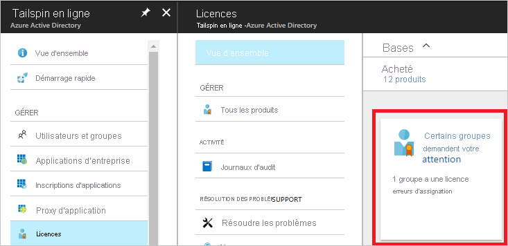 Screenshot of the Azure A D licenses Overview page. This dialog shows information about license and if any group licenses are in error state. The dialog shows one group license in error, and that can be selected.