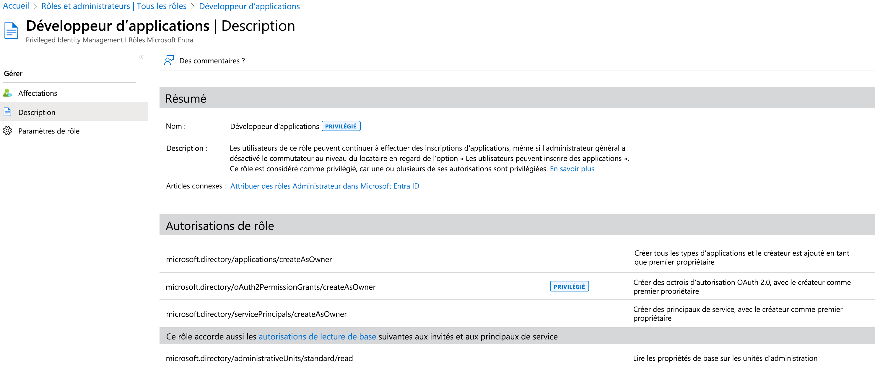 Screenshot of the Attribute definition reader. You can see which permissions a built-in role grants.