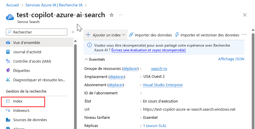 Capture d’écran mettant en surbrillance l’option index sur la page de l’instance de recherche Azure AI.