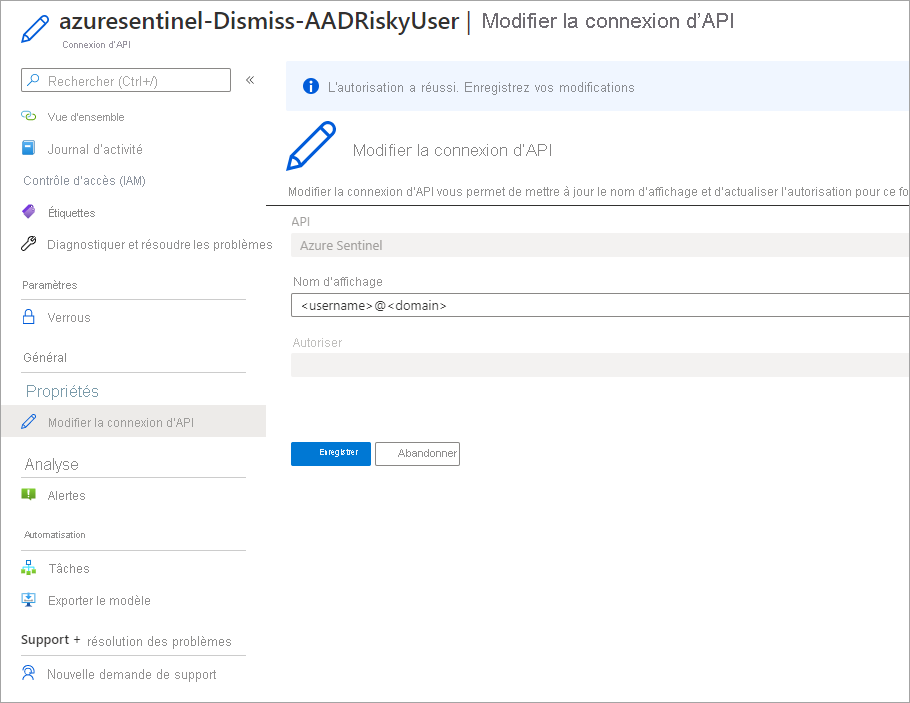 Screenshot that depicts the authorization of the API connection.