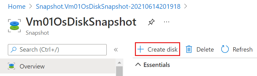 Capture d’écran du panneau Vue d’ensemble d’un instantané, avec l’option créer un disque mise en surbrillance.