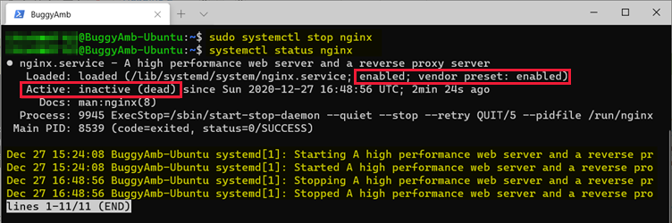 Installer Nginx et le configurer en tant que serveur proxy inverse -  ASP.NET Core | Microsoft Learn