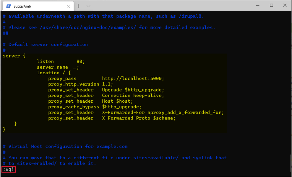 Installer Nginx et le configurer en tant que serveur proxy inverse -  ASP.NET Core | Microsoft Learn