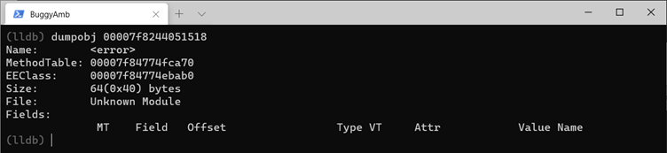 Capture d’écran de la commande dumpobj.