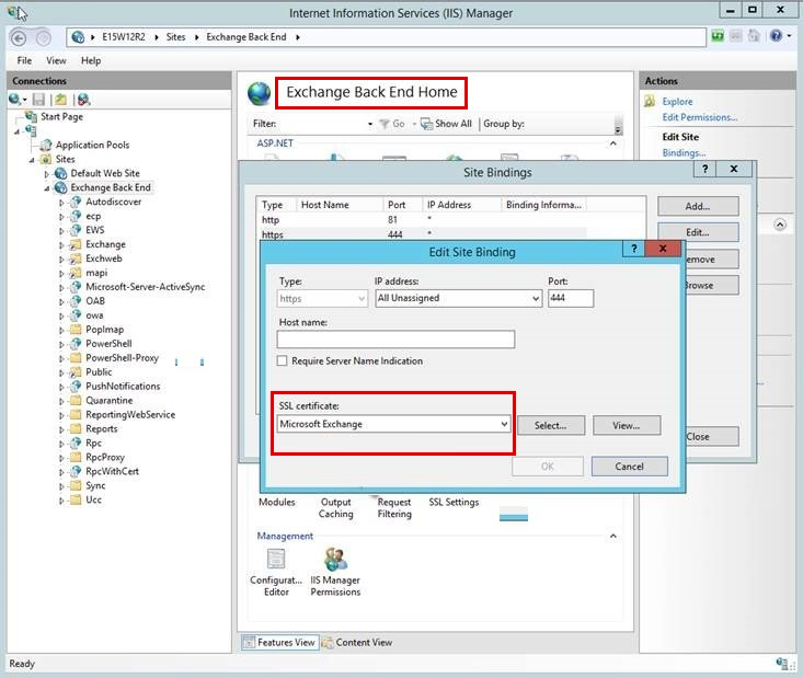 Capture d’écran montrant le champ certificat SSL dans la fenêtre Modifier la liaison de site pour le site principal Exchange dans le Gestionnaire IIS.