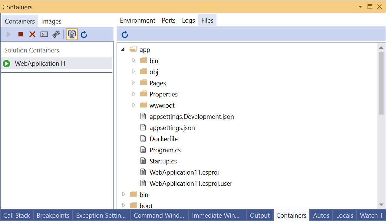Capture d’écran de l’onglet Fichiers dans la fenêtre Conteneurs.