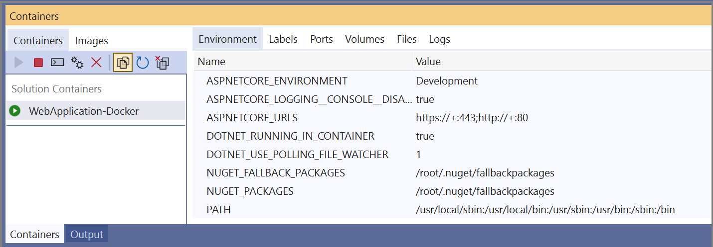 Capture d’écran de la fenêtre Conteneurs dans Visual Studio avec un conteneur sélectionné dans le volet gauche et l’onglet Environnement sélectionné dans le volet droit.