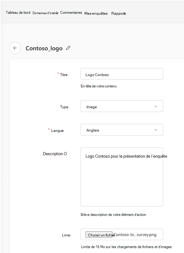 Capture d’écran des champs terminés pour ajouter un logo en tant que ressource de contenu Viva Glint.