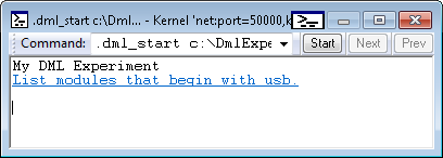 Capture d’écran de la sortie du fichier DML dans la fenêtre Explorateur de commandes.