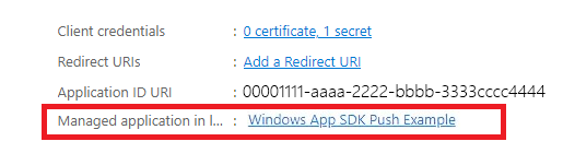 Capture d’écran montrant l’option d’application gérée dans le répertoire local sur la page Essentials