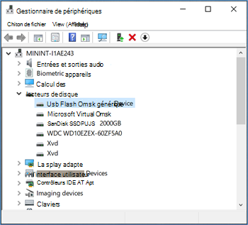 Sélection de la clé usb dans Gestionnaire de périphériques.