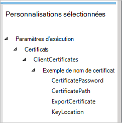 Dans le Designer de configuration Windows, le volet des personnalisations sélectionnées affiche vos paramètres.