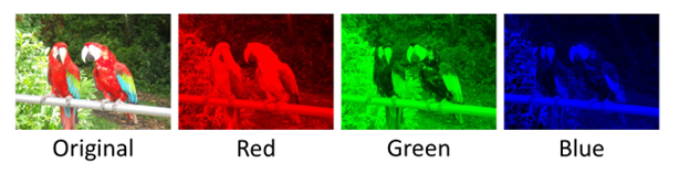 une image décomposée en ses composants rouge, vert et bleu.