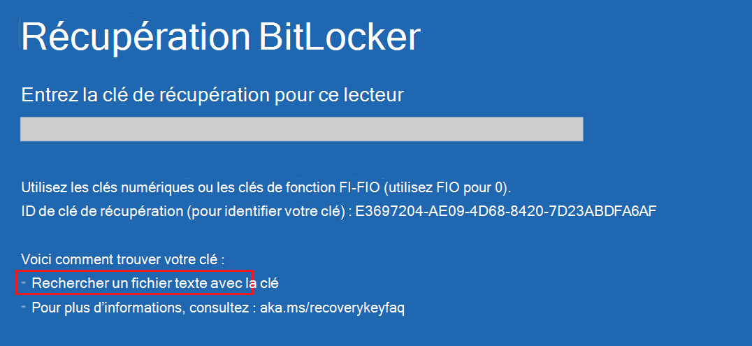 Écran de récupération BitLocker personnalisé.