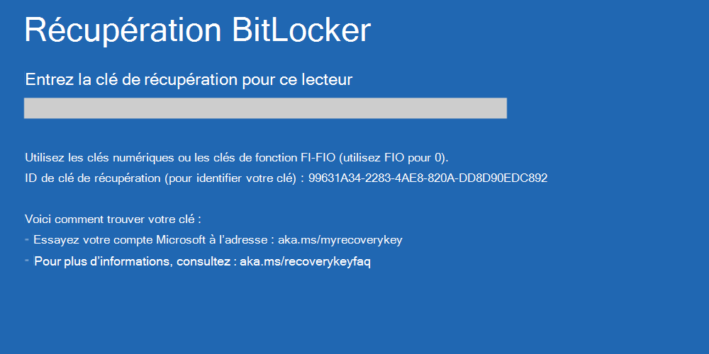 Exemple 3 d’écran de récupération BitLocker personnalisé.