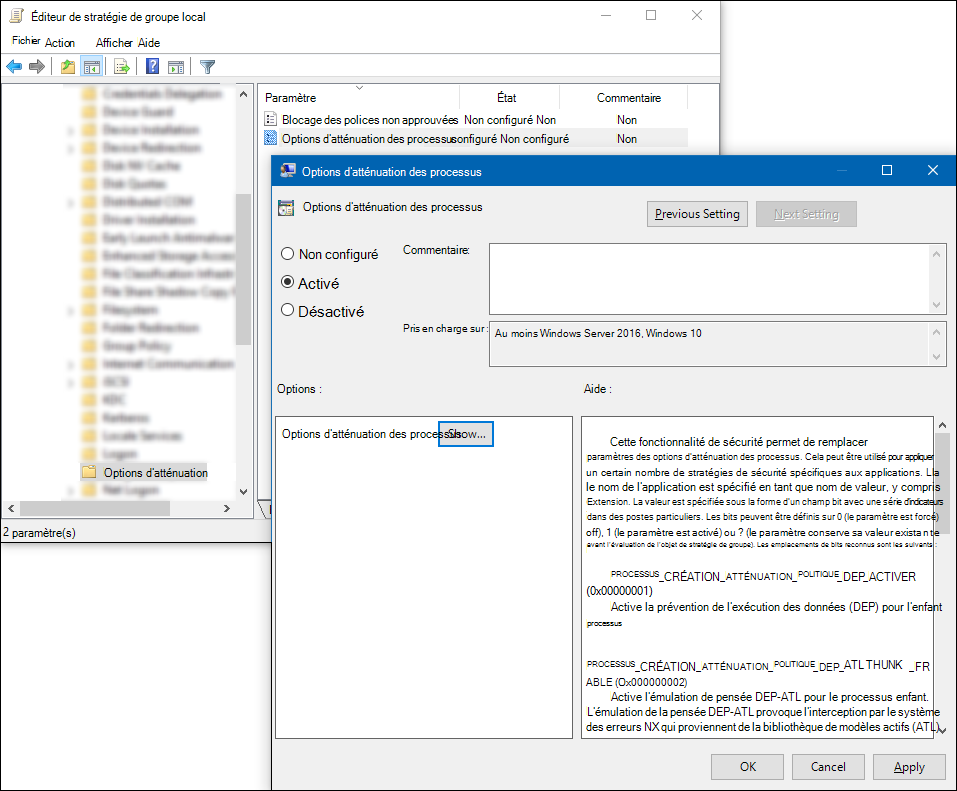Capture d’écran de l’éditeur stratégie de groupe : Options d’atténuation des processus avec le paramètre activé et le bouton Afficher actif.