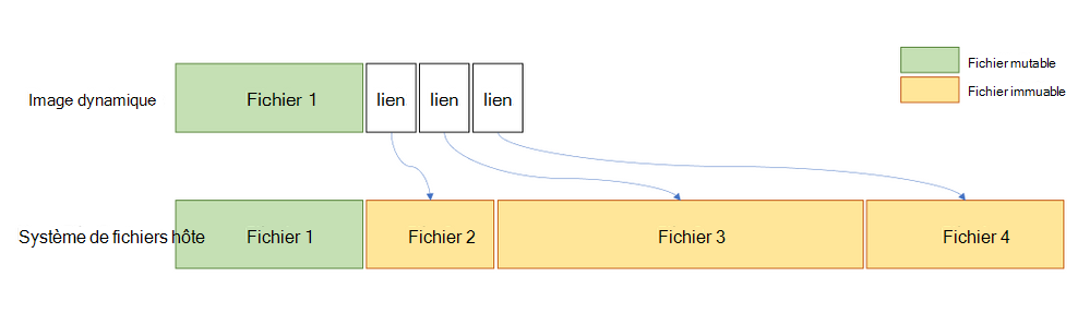 Un graphique compare l’échelle de l’image dynamique des fichiers et établit des liens avec le système de fichiers hôte.