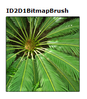 capture d’écran d’un carré rempli d’une bitmap de plante