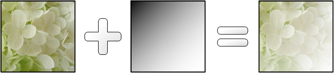 diagramme d’une bitmap de fleur avec un pinceau de dégradé linéaire appliqué