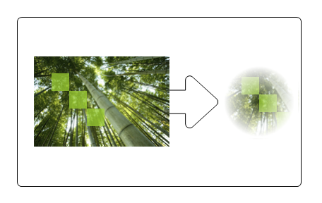 illustration d’une image d’arborescences et de l’image résultante après l’application d’un masque d’opacité