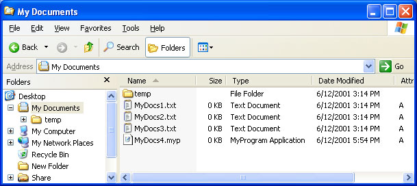 capture d’écran de l’Explorateur Windows en mode Détails