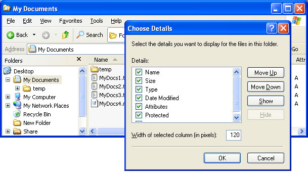 capture d’écran de l’Explorateur Windows avec la boîte de dialogue Choisir les détails affichée