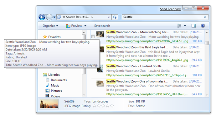 capture d’écran montrant les zones d’interface utilisateur de l’Explorateur Windows qui peuvent être personnalisées à l’aide de listes de propriétés