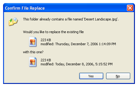 capture d’écran de la boîte de dialogue « Confirmer le remplacement du fichier » 