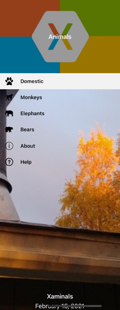 Capture d’écran d’une image d’arrière-plan de menu volant