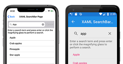 Capture d’écran de SearchBar sur iOS et Android
