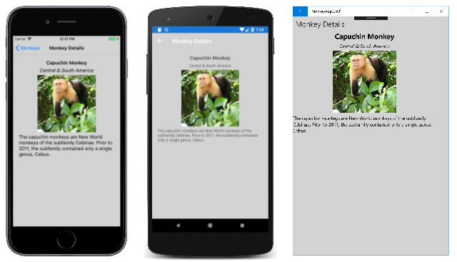 MonkeyApp Detail Page avec style CSS MonkeyApp Detail Page avec style CSS MonkeyApp Detail Page avec style CSS