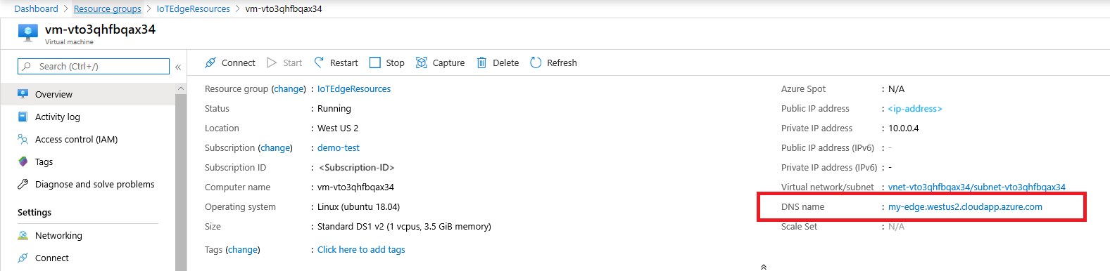 Screenshot showing the DNS name of the iotedge vm.