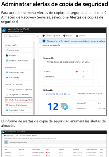 Captura de pantalla que muestra el informe Alertas de copia de seguridad.