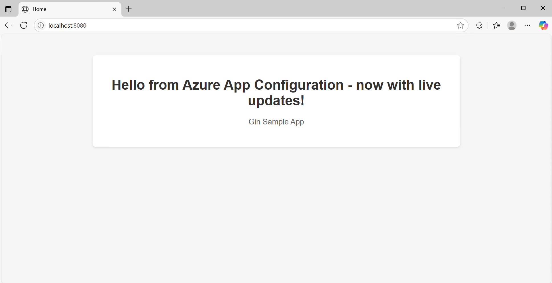 Captura de pantalla después de la actualización de la aplicación web gin.