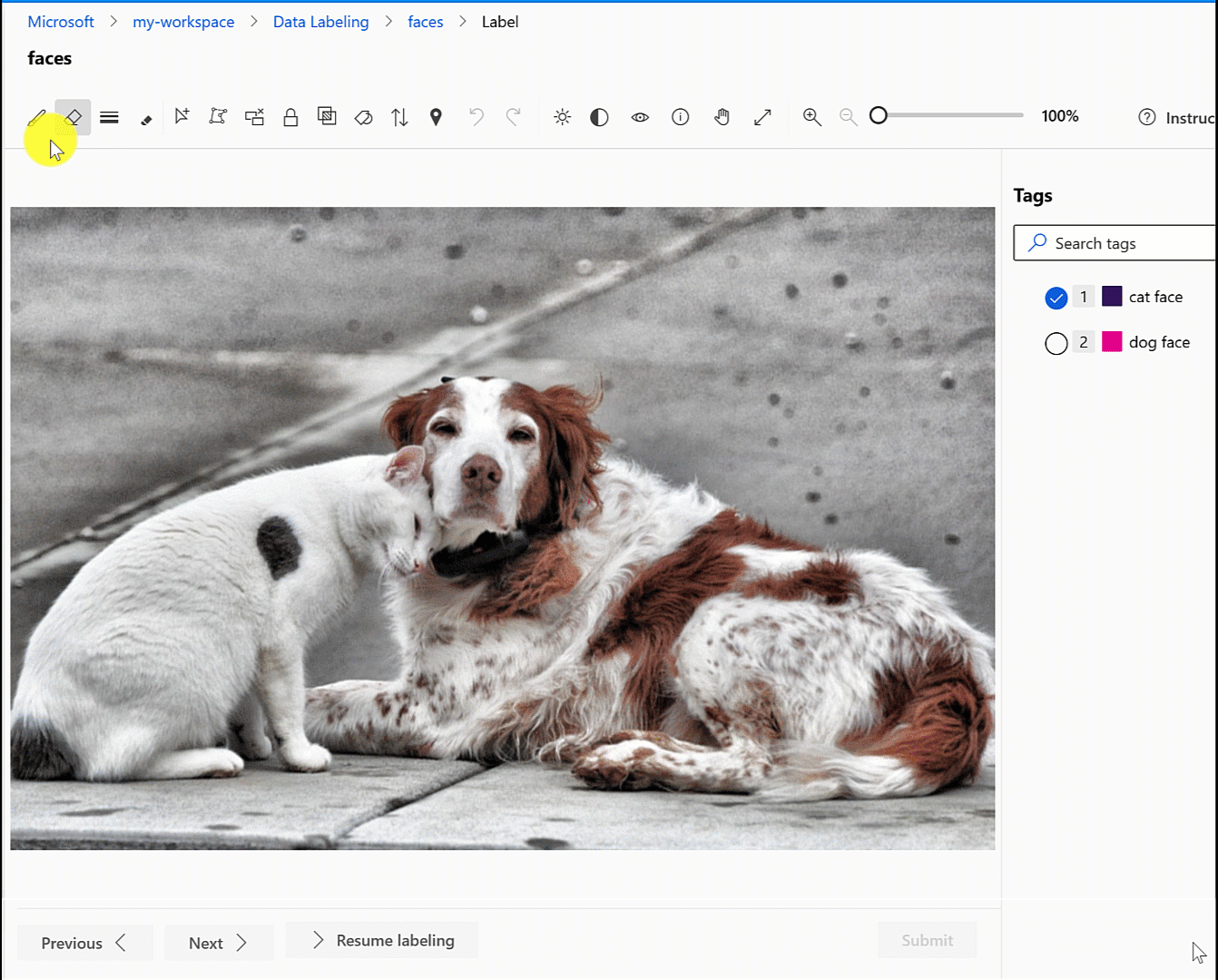 Captura de pantalla del área de pintura para las caras de perro y gato para la segmentación semántica.
