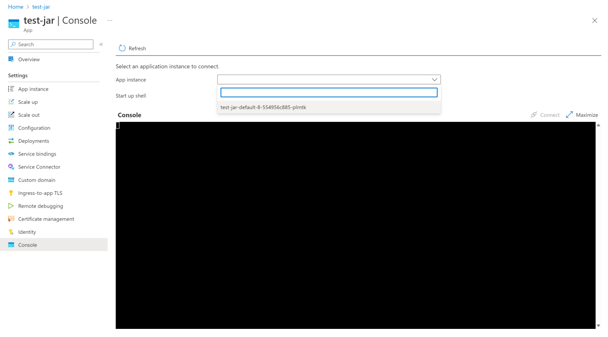 Captura de pantalla de la página Consola de Azure Portal que muestra una instancia de aplicación.