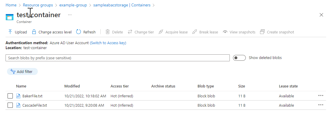Captura de pantalla del contenedor de almacenamiento con archivos de prueba.
