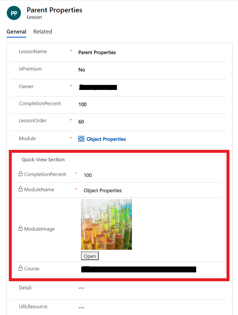 ver control de formulario de visualización rápida