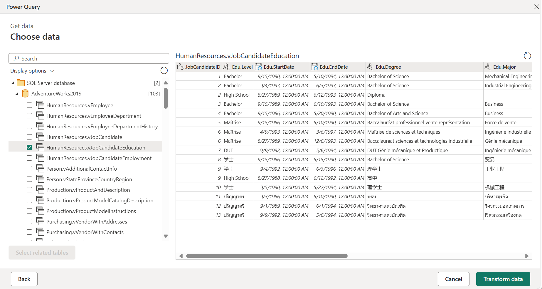 Captura de pantalla de la ventana del navegador del conector de SQL Server en Power Query Online.
