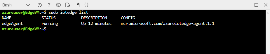 Ver un módulo en el dispositivo