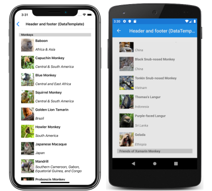 Captura de pantalla de un pie de página y un encabezado CollectionView mediante plantillas, en iOS y Android