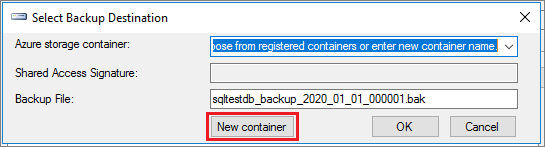 Captura de pantalla del cuadro de diálogo Seleccionar destino de la copia de seguridad con la opción Nuevo contenedor resaltada.