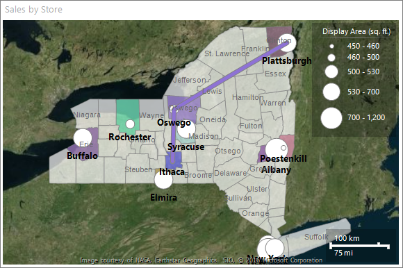 Captura de pantalla que muestra una vista previa del mapa de Report Builder con determinados condados resaltados.