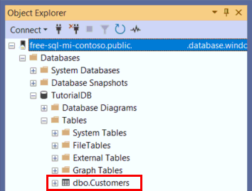 Captura de pantalla que muestra nueva tabla.
