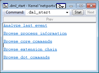 Captura de pantalla de la salida .dml-start predeterminada.