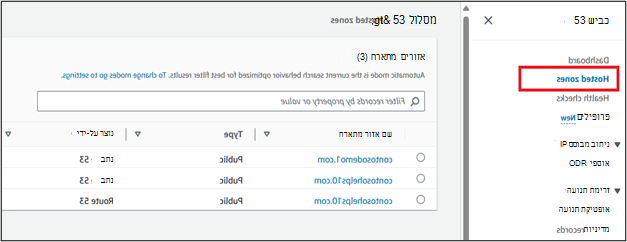 בחר נהל DNS מהרשימה הנפתחת.